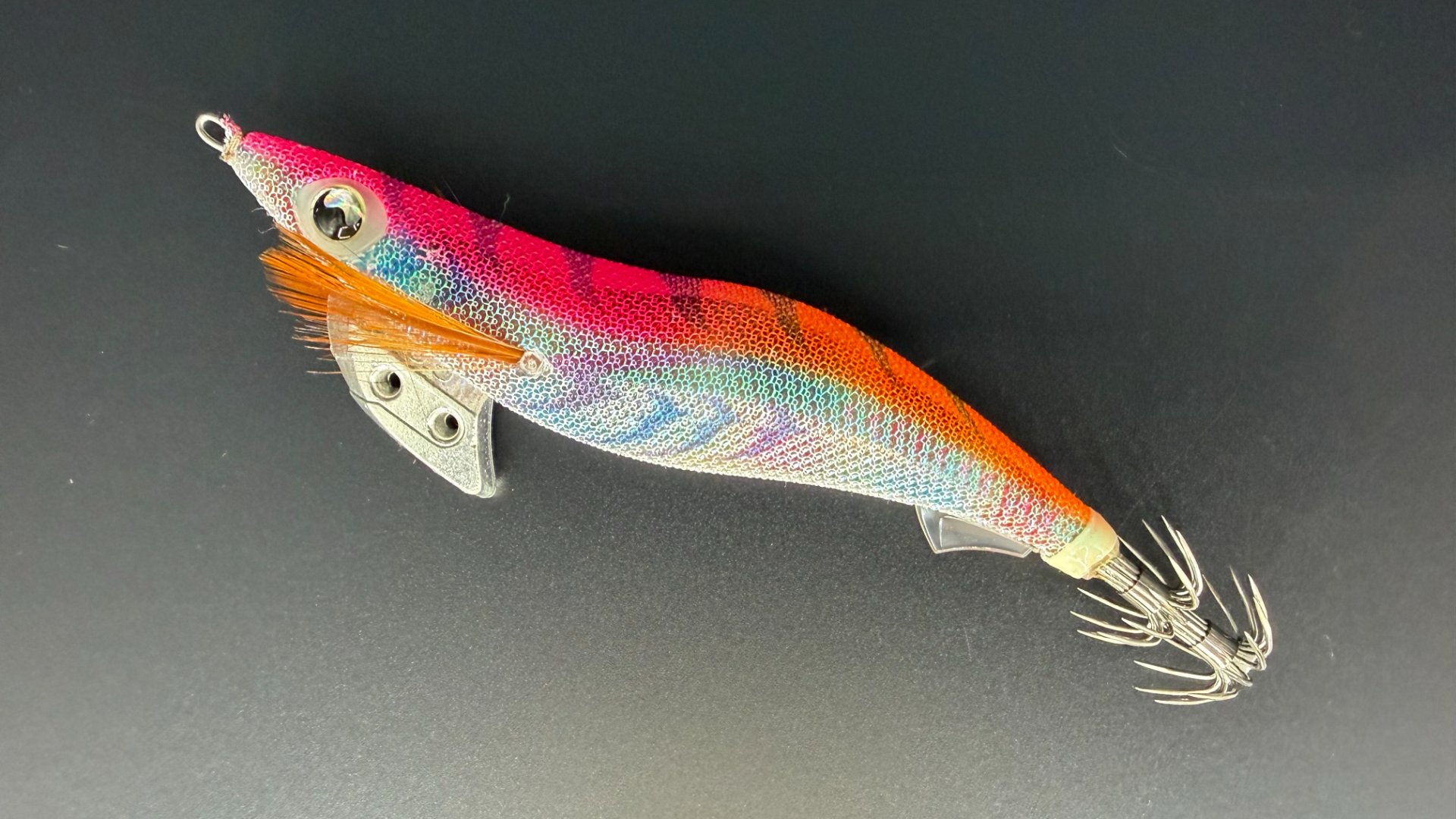 エギ王Kのカラー使い分け！1年目の釣果は全部ぶちぶちコーラル | 釣り