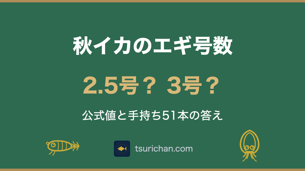 秋イカのエギは2.5号と3号どっち？公式値と手持ち51本の答え | 釣りちゃん